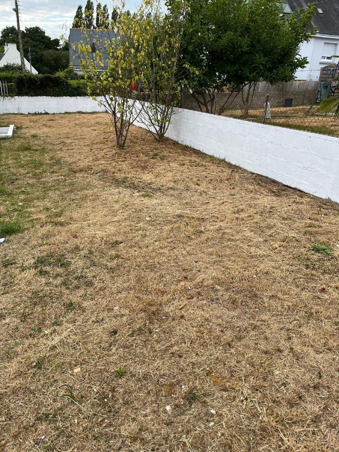 Ng Suitehome - Queven - Balneo - Netflix - Wifi Exterior foto
